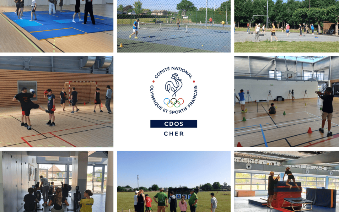 Journée olympique au collège de Lignières